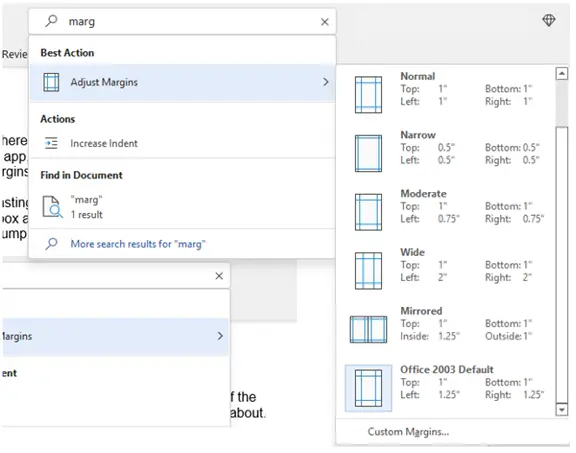 Screenshot of a word processor's margin settings.