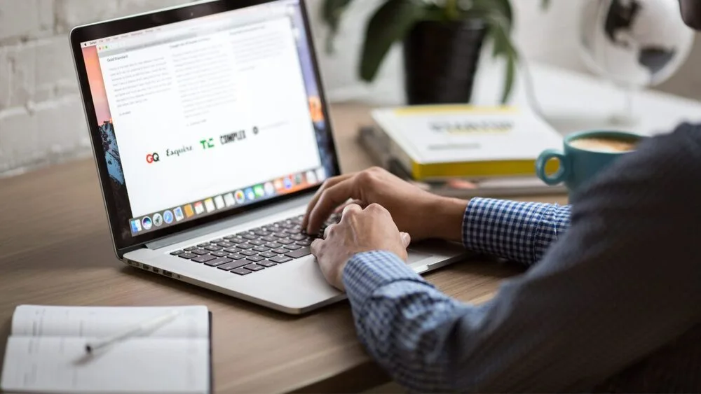 A person using a laptop at a desk with a potted plant. 