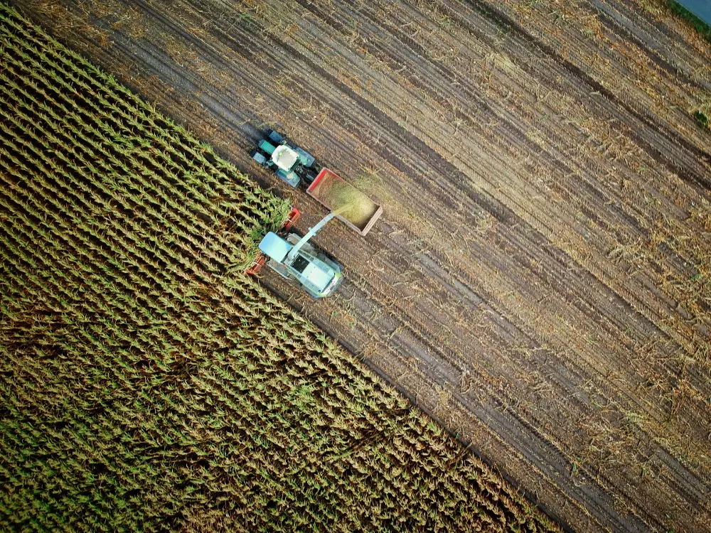 Aerial view of a tractor harvesting crops in a field, with half the area showing unharvested green plants and the other half showing harvested, brown earth and crop residue.